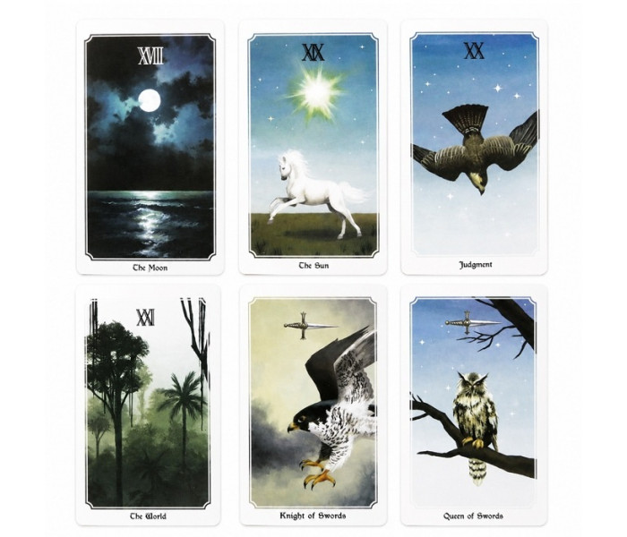 Таро Душі Світу - Anima Mundi Tarot. China (9420390)