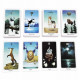 Таро Душі Світу - Anima Mundi Tarot. China (9420390)