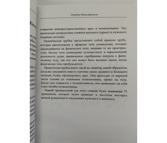 Книга Секреты магии драконов. Альмин
