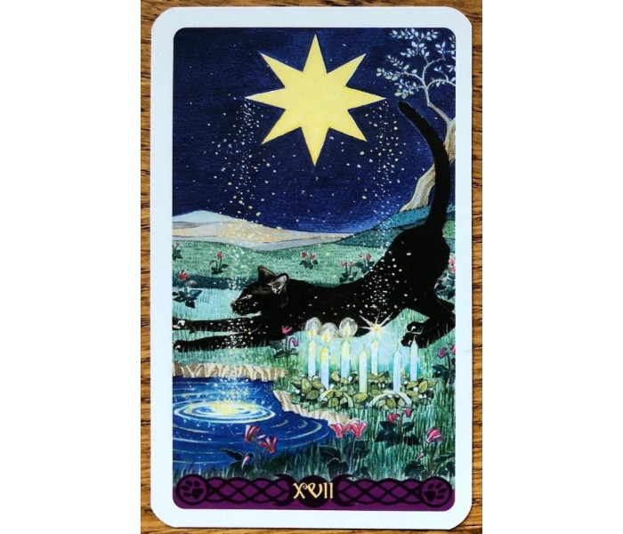 Міні Таро язичницьких кішок - Mini Tarot of Pagan Cats. Lo Scarabeo