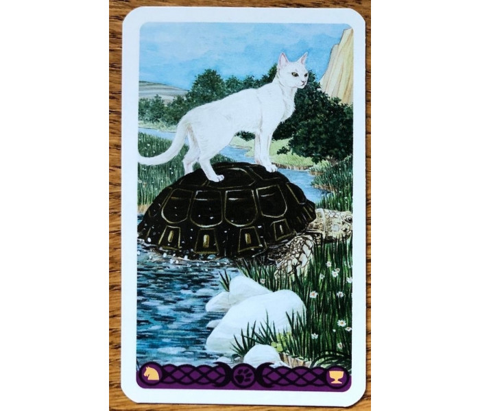 Міні Таро язичницьких кішок - Mini Tarot of Pagan Cats. Lo Scarabeo