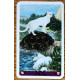 Міні Таро язичницьких кішок - Mini Tarot of Pagan Cats. Lo Scarabeo