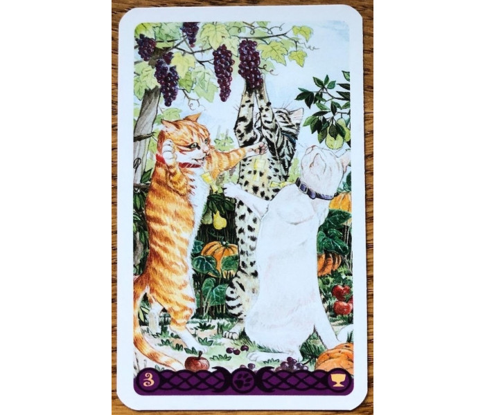 Міні Таро язичницьких кішок - Mini Tarot of Pagan Cats. Lo Scarabeo