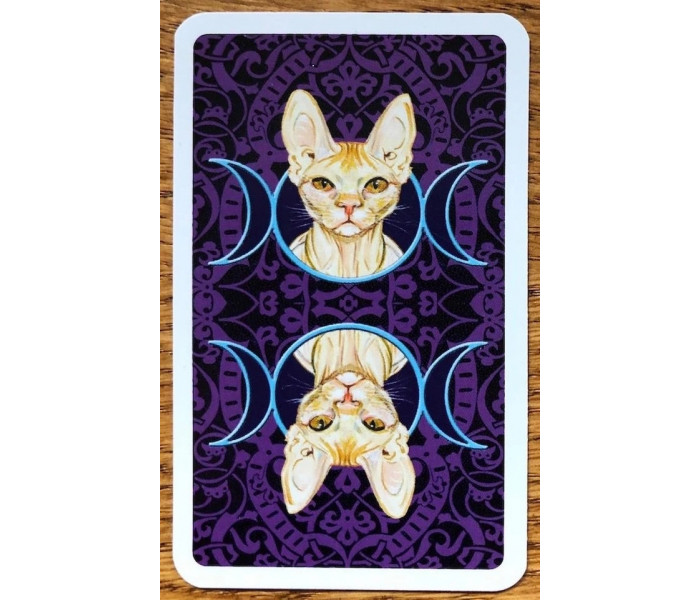 Міні Таро язичницьких кішок - Mini Tarot of Pagan Cats. Lo Scarabeo