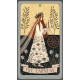 Набор Зеленый Кодекс Таро - Green Codex Tarot KIT. Lo Scarabeo