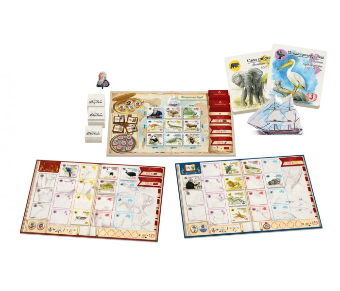 Настольная игра По следам Дарвина - In the Footsteps of Darwin. Feelindigo (FI24062)