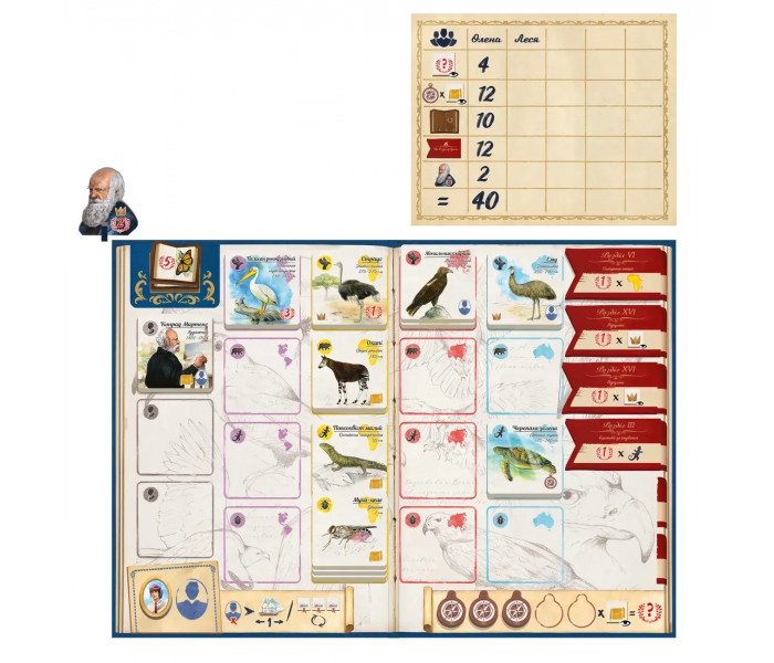 Настольная игра По следам Дарвина - In the Footsteps of Darwin. Feelindigo (FI24062)