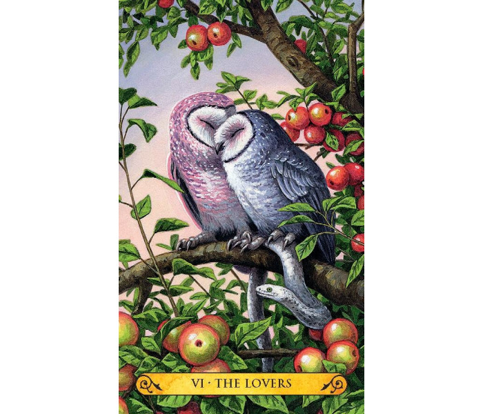 Мини Таро Сов - Tarot of the Owls Mini Deck. Llewellyn 