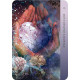 Оракул Родового Исцеления - Ancestral Healing Oracle. Rockpool Publishing