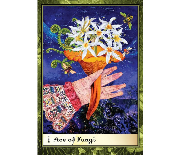Таро Земних Насолод Боадіцеї - Boadicea's Tarot of Earthly Delights. Schiffer Publishing