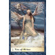 Таро Земних Насолод Боадіцеї - Boadicea's Tarot of Earthly Delights. Schiffer Publishing