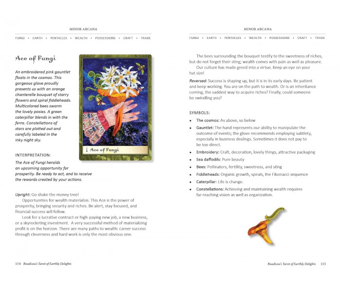 Таро Земних Насолод Боадіцеї - Boadicea's Tarot of Earthly Delights. Schiffer Publishing
