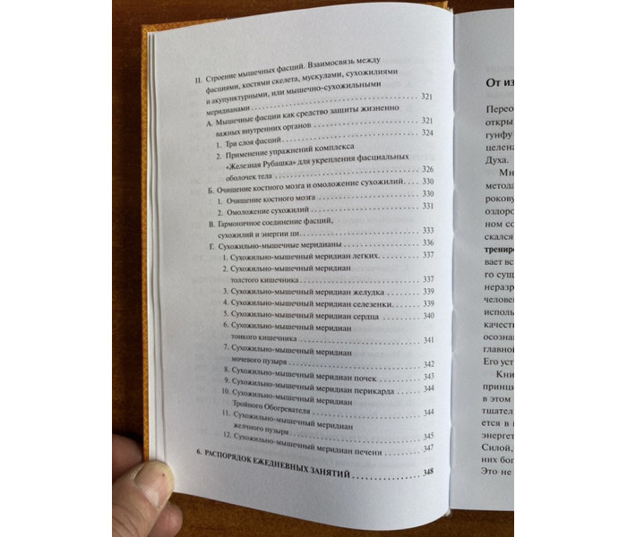 Книга Цигун. Железная рубашка. Мантэк Чиа  (13517)