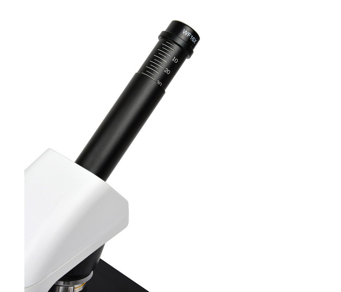 Микроскоп SIGETA COREON 40x-1280x LED Mono (65267)