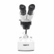 Микроскоп SIGETA MS-217 20x-40x LED Bino Stereo (65270)