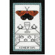 Таро Мудрость Бабочки: направляющие крылья на вашем пути - The Butterfly Wisdom Tarot: Guiding Wings for Your Journey. Schiffer Publishing