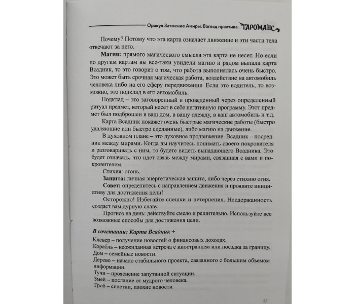 Книга к Оракулу Амира. Взгляд практика.