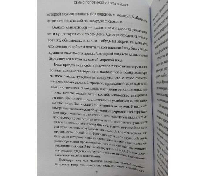 Книга Семь с половиной уроков о мозге. Барретт Фельдман (8957)