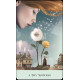 Оракул Сорняки и Ведьмы - Weeds & Witches Oracle Deck. US Games Systems