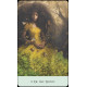 Оракул Сорняки и Ведьмы - Weeds & Witches Oracle Deck. US Games Systems
