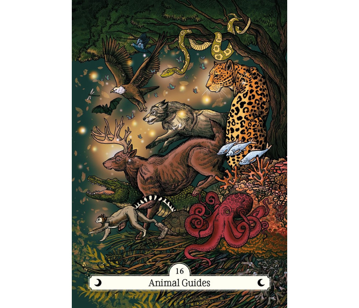 Оракул Путь Ведьмы Домой - The Witch's Way Home Oracle. Hay House
