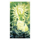 УЦЕНКА Healing Light Tarot. Lo Scarabeo