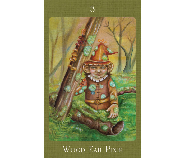 Оракул Грибного Народу - Mushroom Folk Oracle. Blue Angel