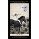 Таро Відображення Душі - Soul Reflections Tarot. Blue Angel