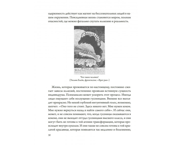 Книга Беременная Дева. Вудман Мэрион (9075)