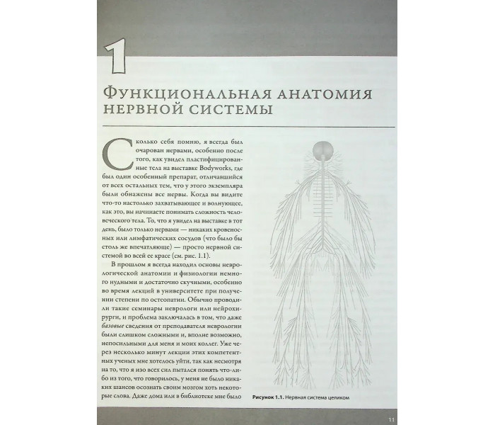 Книга Увлекательно о нервах. Практическое пособие для физиотерапевтов. Большой формат. Гиббонс Джон (8729)