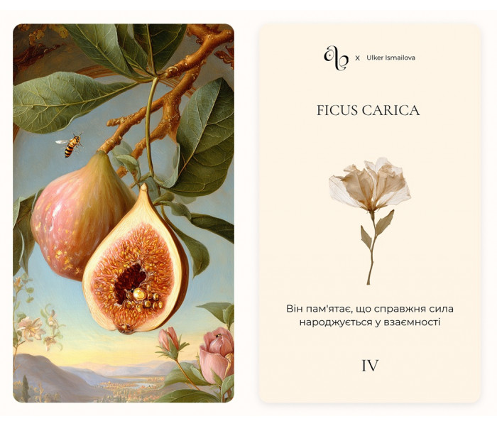 Метафорические карты "Herbarium". Asterra