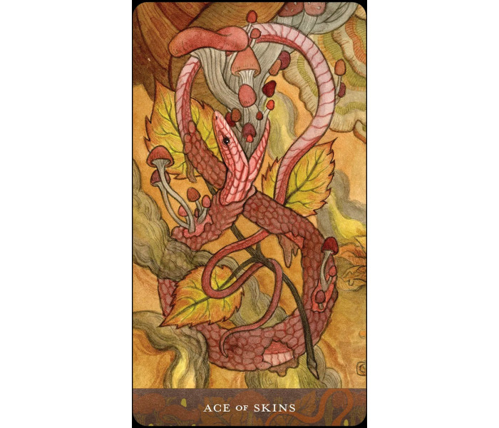 Таро Кровавой Луны - Blood Moon Tarot. US Games Systems
