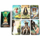 Таро Сила Природы - Wild Reflections Tarot. China (9420366)