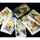 Таро Дикого Леса - The Wildwood Tarot. China (9420189)