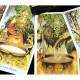 Таро Дикого Леса - The Wildwood Tarot. China (9420189)