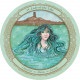 Оракул Зачарованного Колеса - Enchanted Wheel Oracle. U.S. Games Systems
