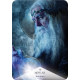 Космический Зодиакальный Оракул - Cosmic Zodiac Oracle. Rockpool Publishing
