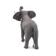 Металлическая сборная 3D-модель Африканский слон (African Elephant), Metal Earth (ME1043)