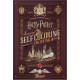 Книга-раскраска Harry Potter Self-Coloring. Theory11