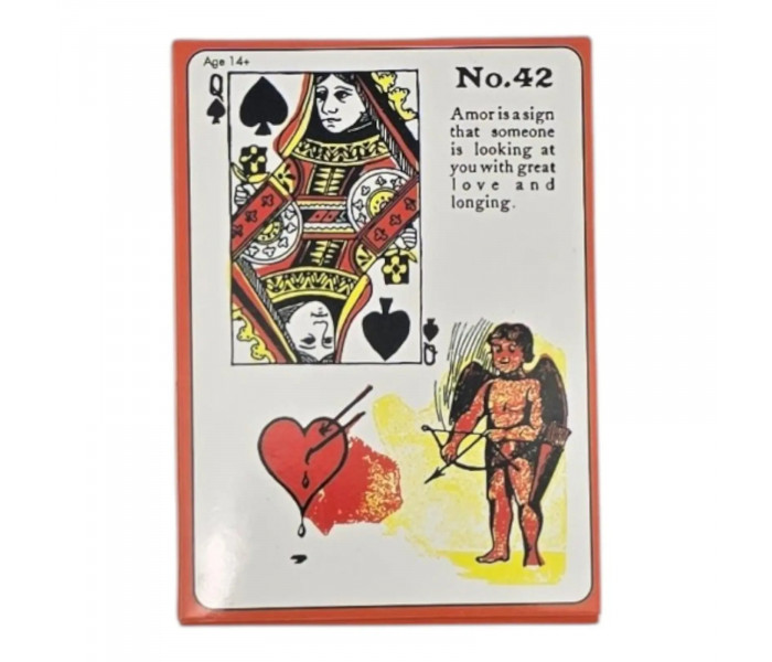 Карты Цыганская Ведьма - Gypsy Witch Fortune Telling Playing Cards. China (37308)