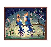 Фото Розмальовка за номерами "Райські птахи" (40х50), Color Kit CG156