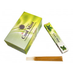 Аромапалочки Garden Fresh Cool Mint 15 грамм (9130418)