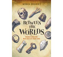 Фото Оракул Між Світами - Between the Worlds: Shadowcasting with Bone and Curio Oracle Cards. Schiffer Publishing
