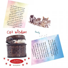 Карти Котячої Мудрості - Cat Wisdom Cards. Blue Angel