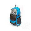 Фото 1 - Дитячий рюкзак ONEPOLAR (ВАНПОЛАР) W1581-blue