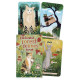 Котяче Таро Зачарованого Лісу - Enchanted Forest Felines Tarot. Llewellyn