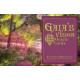 Оракул Бачення Гайї - Gaia’s Vision Oracle Cards. Schiffer Publishing
