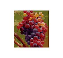 Фото Гроно винограду, серія Квіти, малювання за номерами, 40 х 50 см, Ідейка, MG1124
