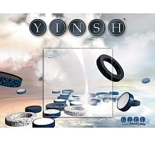Фото Інш (Yinsh) - Абстрактна настільна гра (проект GIPF)