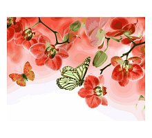Фото Картина за номерами "Метелики та червоні орхідеї" 30x40см, Babylon VK013